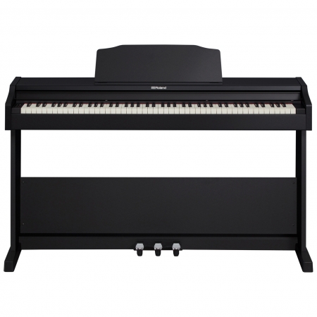  Roland RP-102