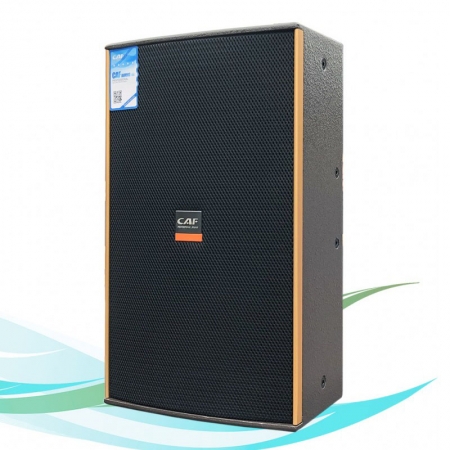 Loa karaoke CAF HN-12