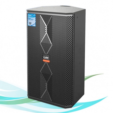 Loa karaoke CAF TW-12 pro