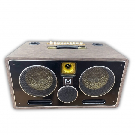 Loa xách tay Msound S90