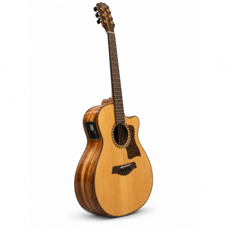 Đàn Guitar Acoustic Linas L450EQ
