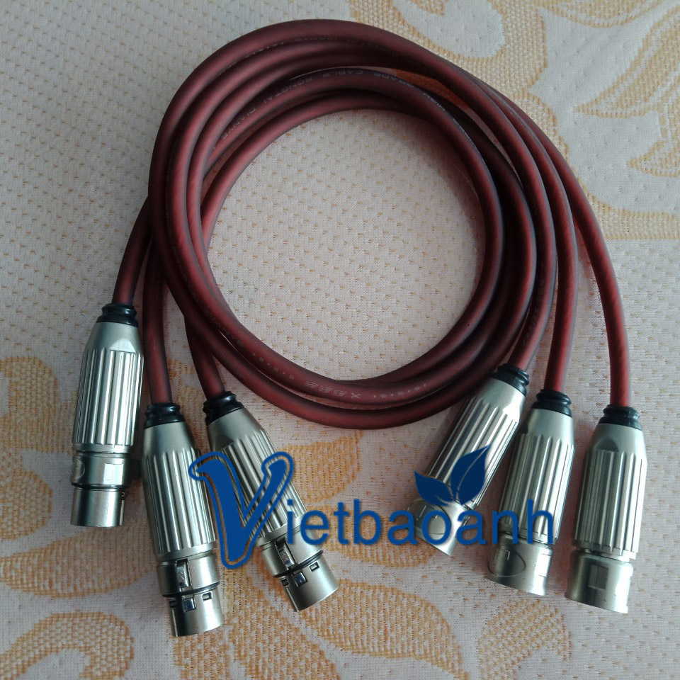 Dây canon 2C