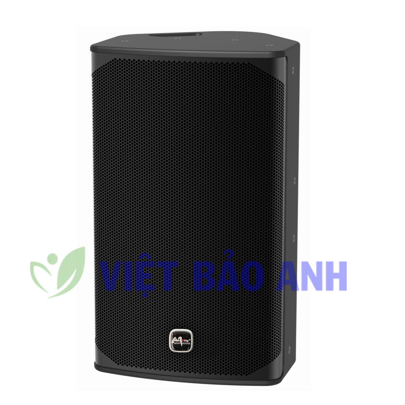Loa Motivity HD12