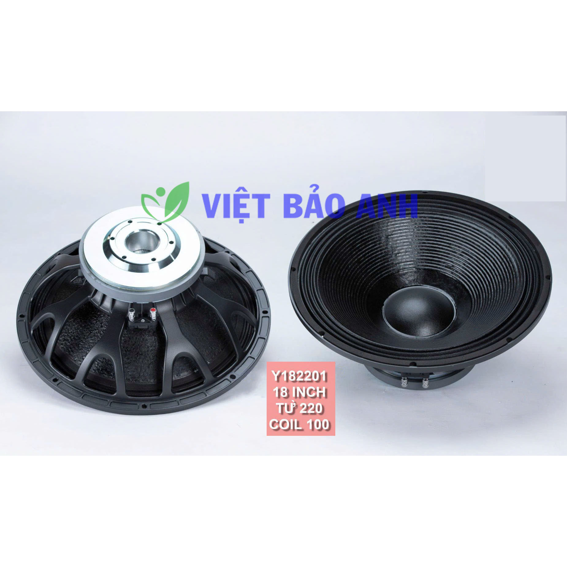 Loa bass 18inch Y182201