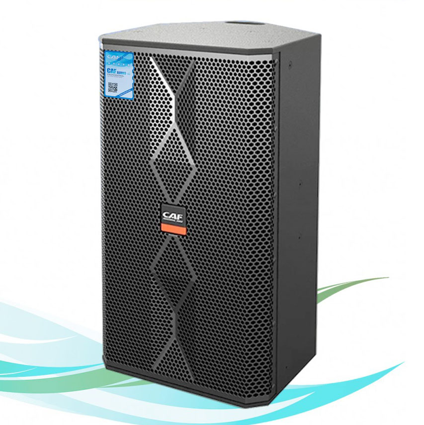 Loa karaoke CAF TW-12 pro
